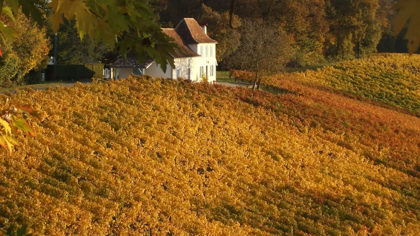 Domaine Lapeyre-Guilhemas