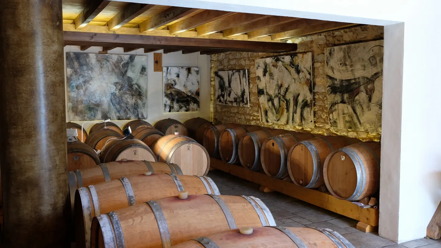 Domaine Lapeyre-Guilhemas