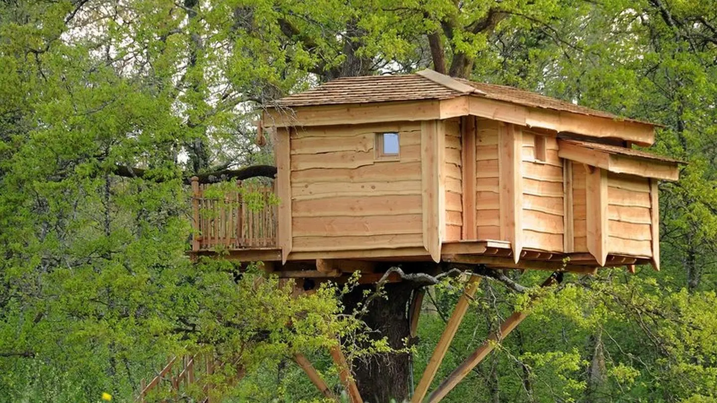 Cabane du vieux chêne