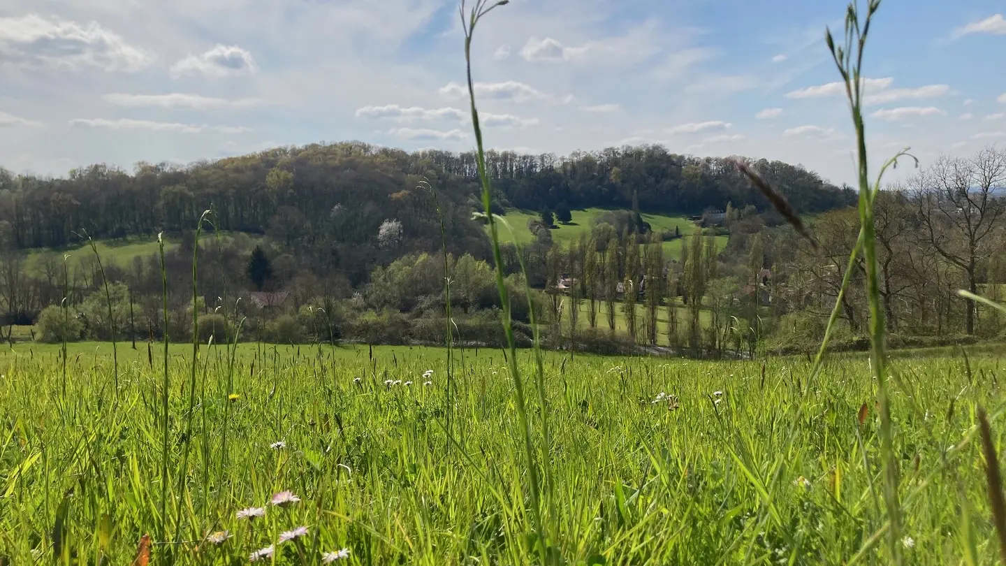 Chambres d'hôtes Labouroume