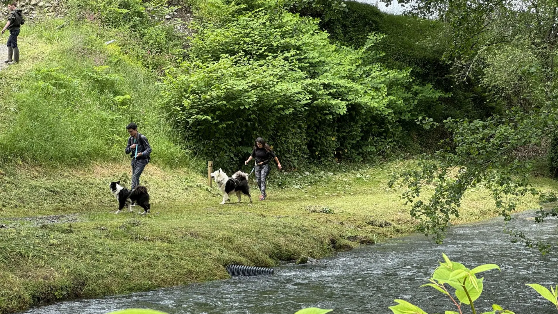 N°18 - Le chemin de la transhumance