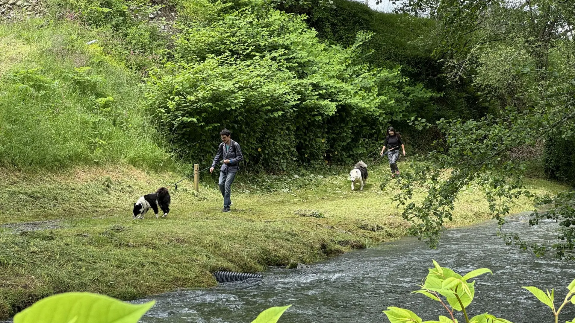 N°18 - Le chemin de la transhumance