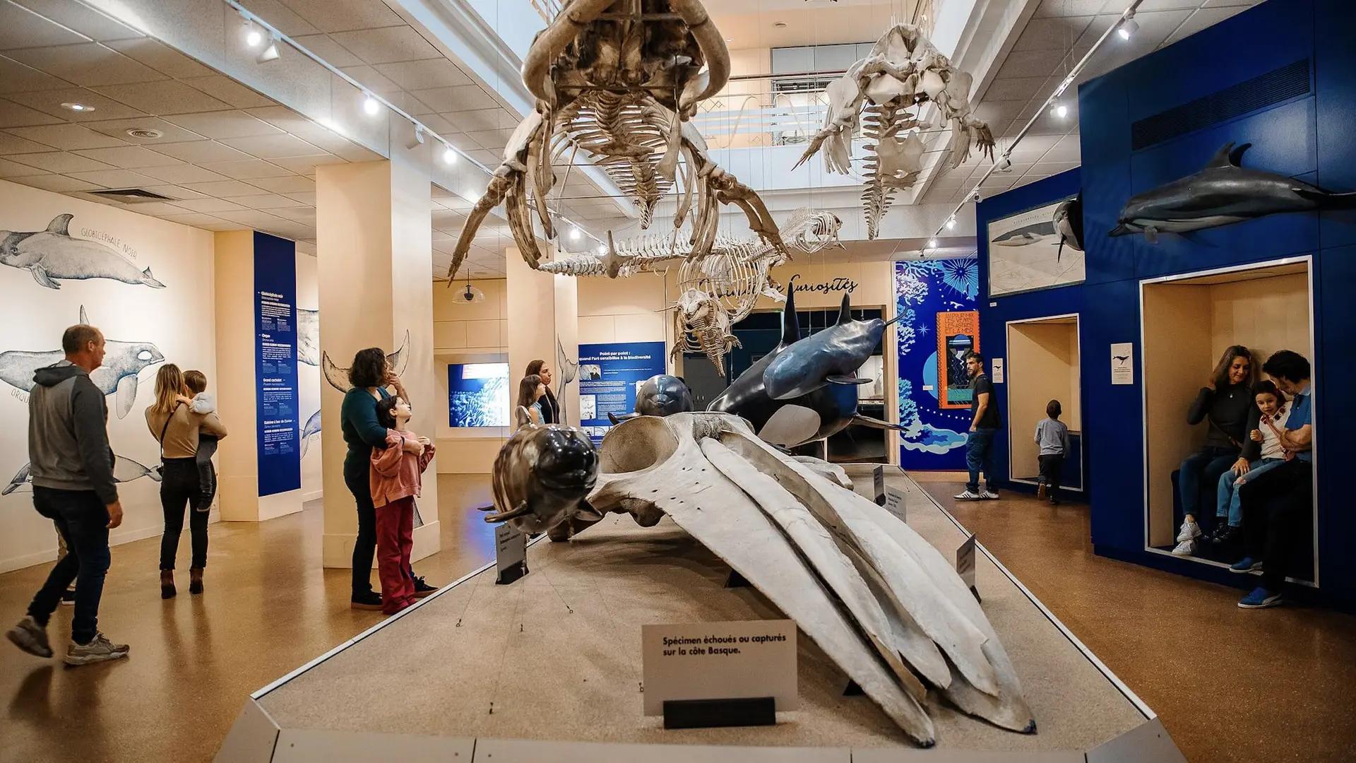 galerie-des-cetaces-aquarium-biarritz-crédit-delphine-pernaud