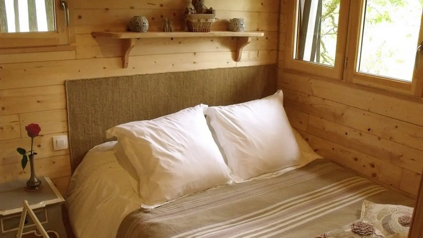 Cabane du vieux chêne