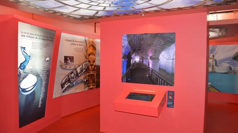 salines de salies-de-béarn