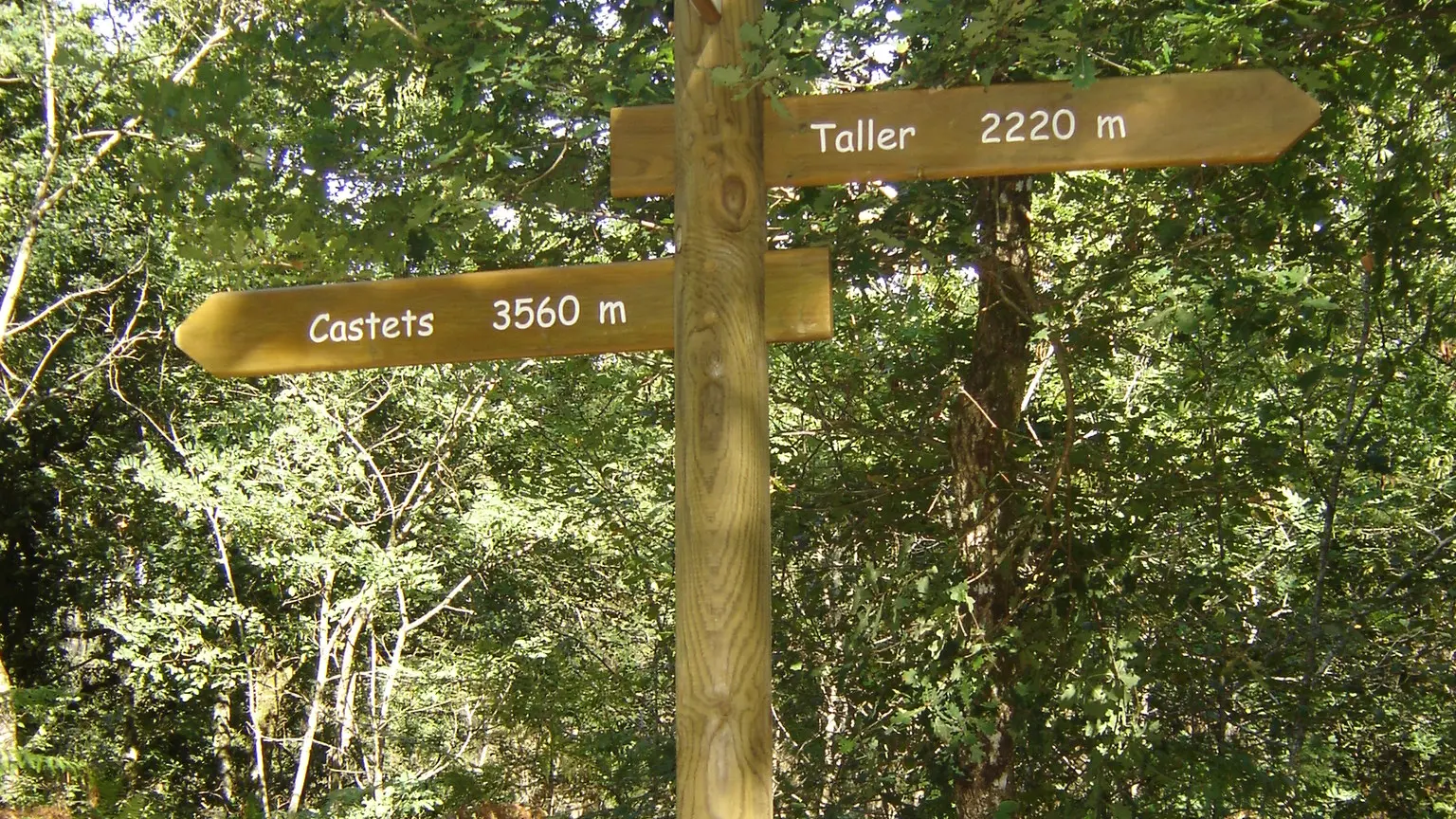 © FERNANDES Marie - TALLER -  Panneau Piste cyclable