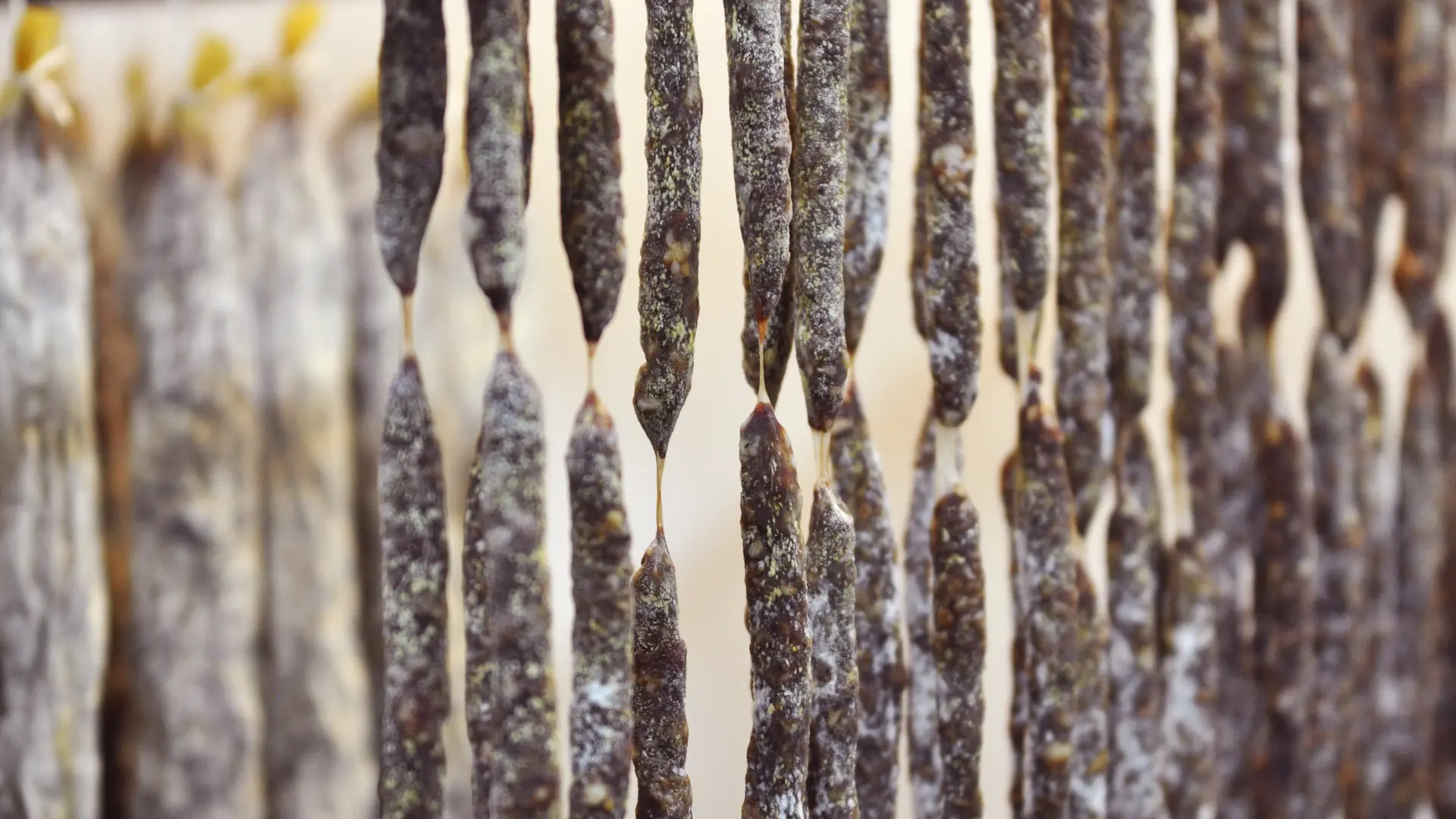 Boucherie charcuterie Casamayou à Oloron Sainte-Marie