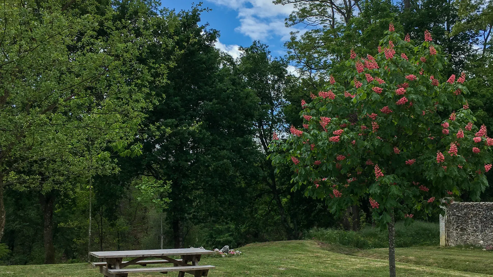 ©FERNANDES Marie - TALLER - Aire de pique-nique cimetière (1)
