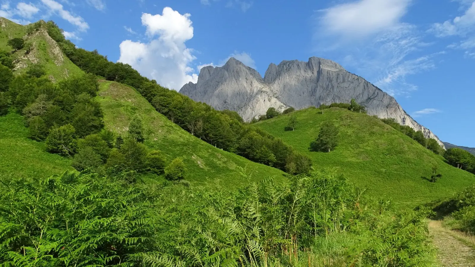 Vallée d'Aspe en Pyrénées