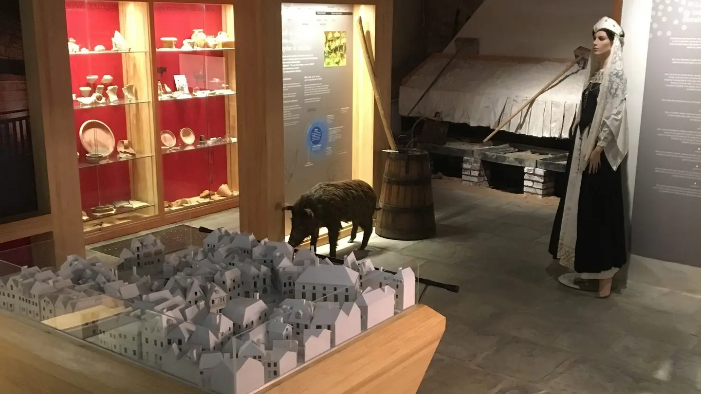 Le musée du sel et des traditions béarnaises