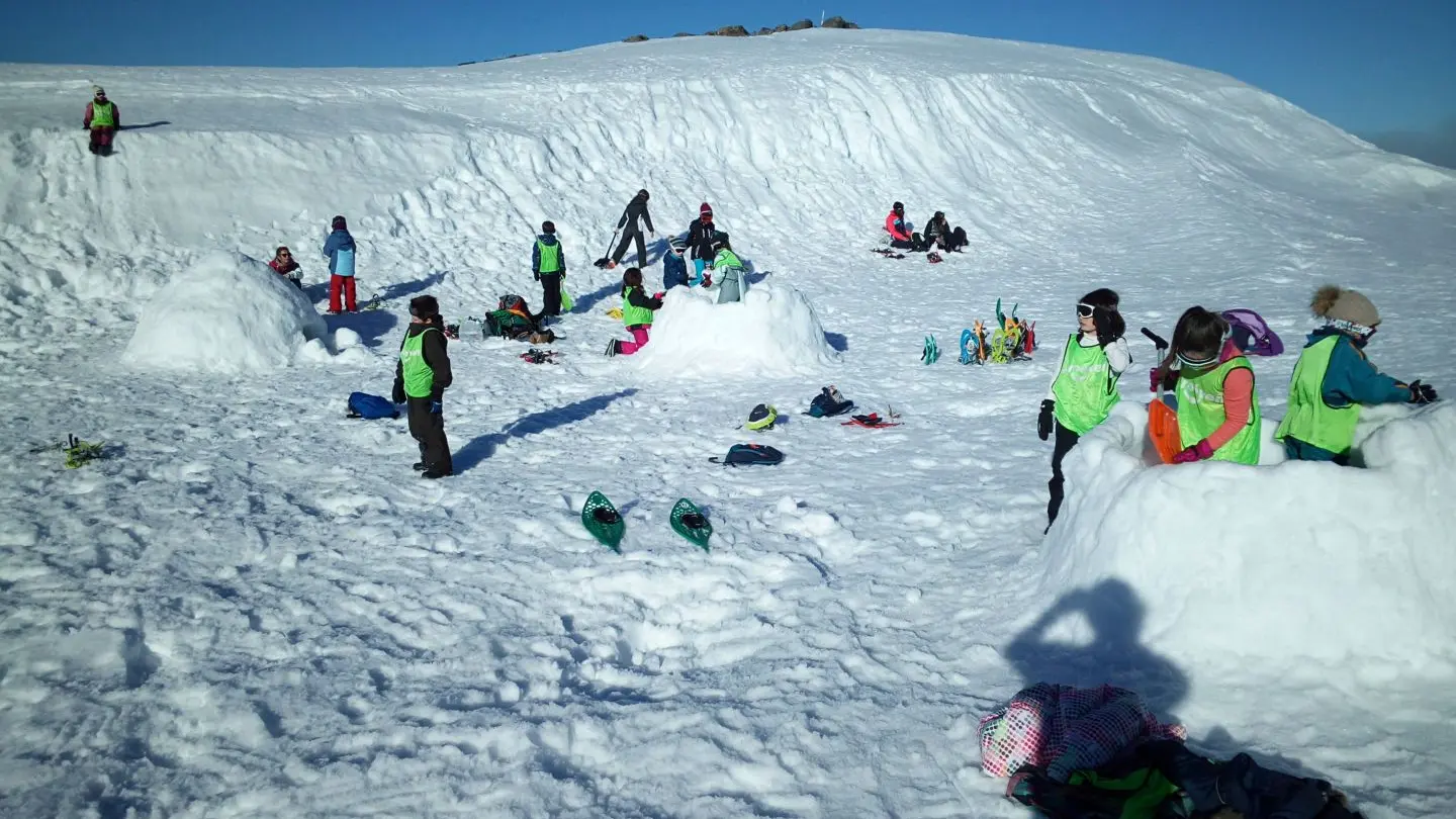 Construction d'igloo