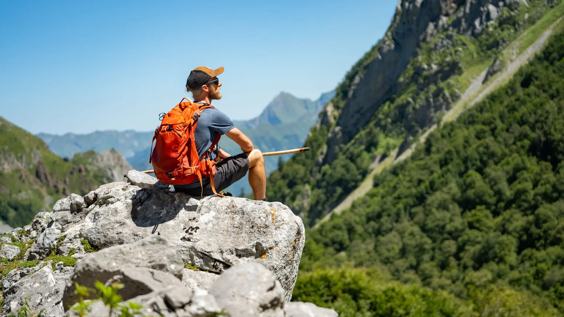 Contemplation en vallée d'Aspe