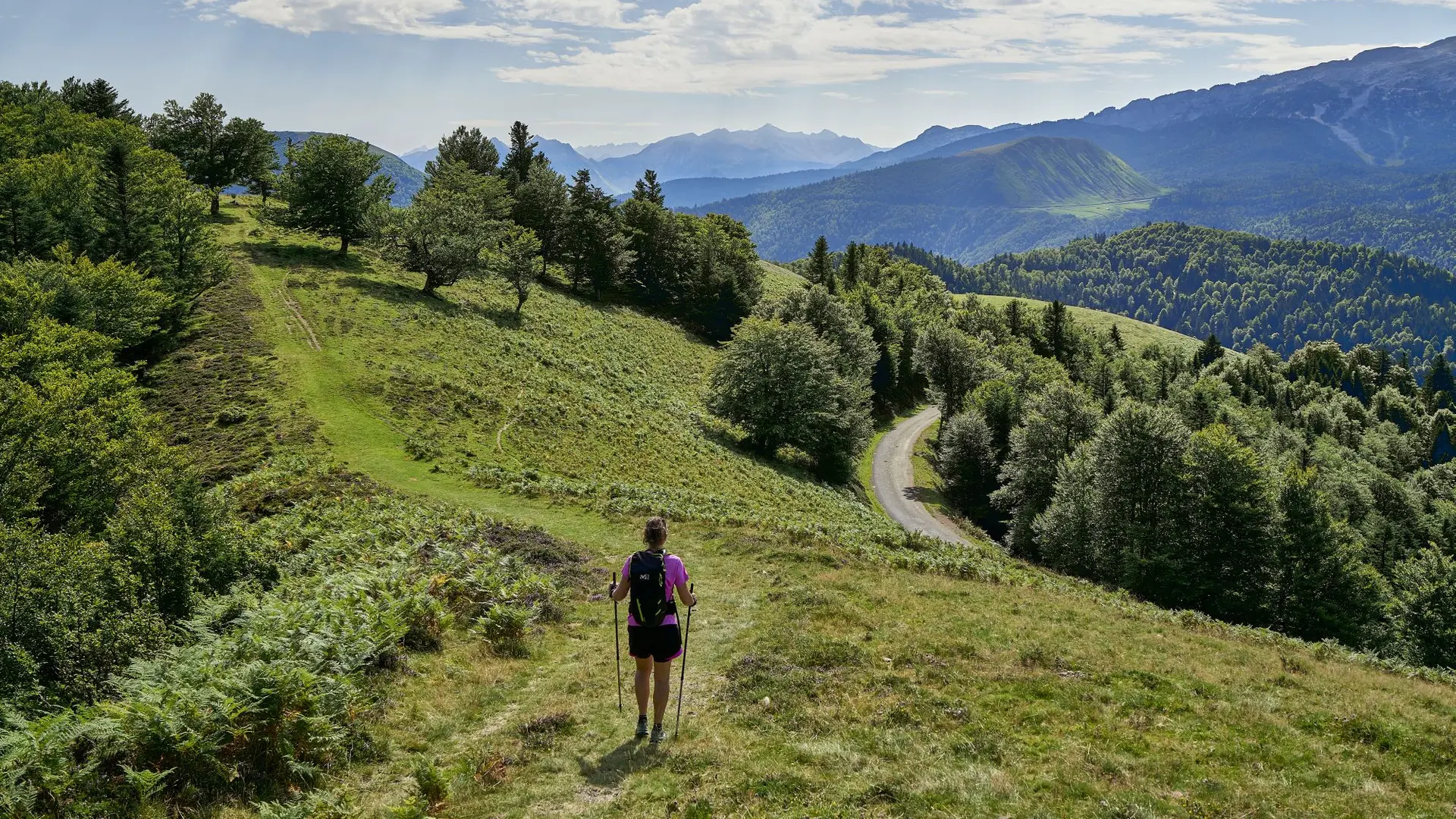 Entre crêtes et forêts, itinéraire pédestre facile à Issarbe