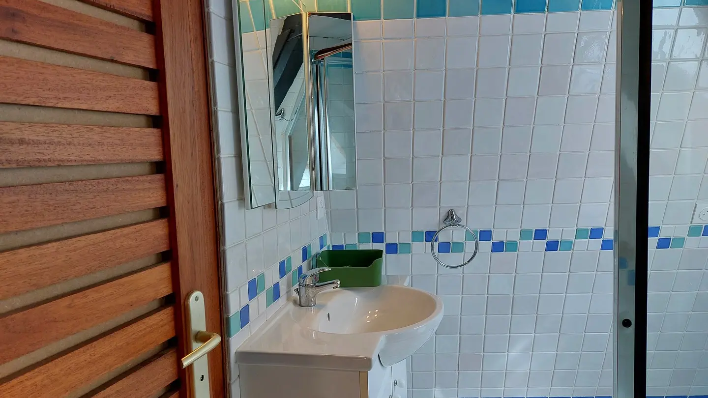 Les dames de Salies - Studio Tess