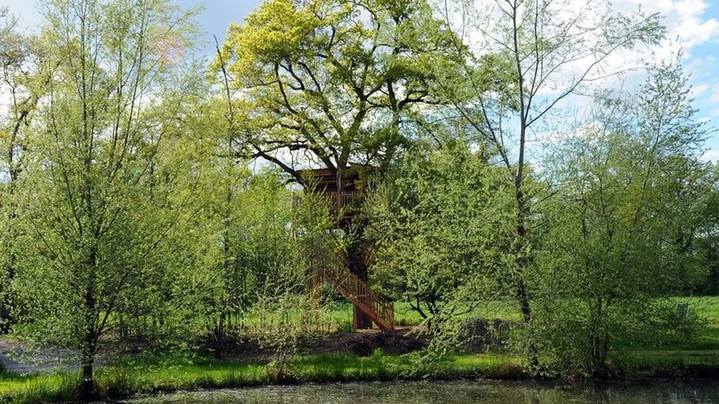 Cabane du vieux chêne
