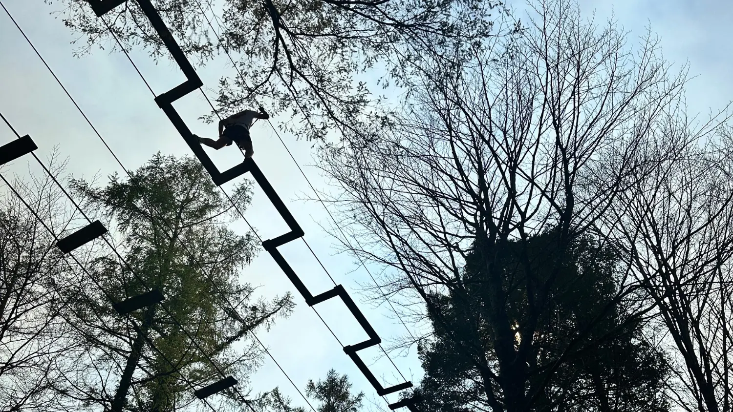 Accrobranche à Aventure Parc®Aramits