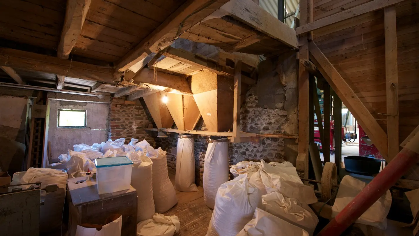 Le Moulin de Saint-Pe-de-Leren