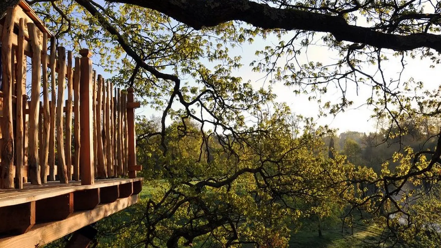 Cabane du vieux chêne