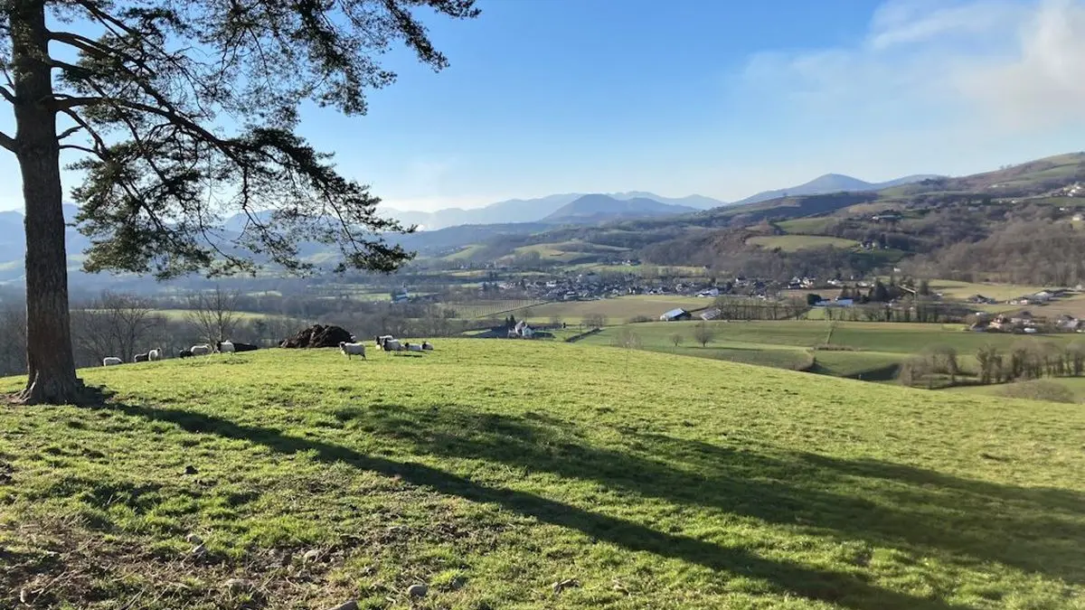 Vue depuis la terrasse