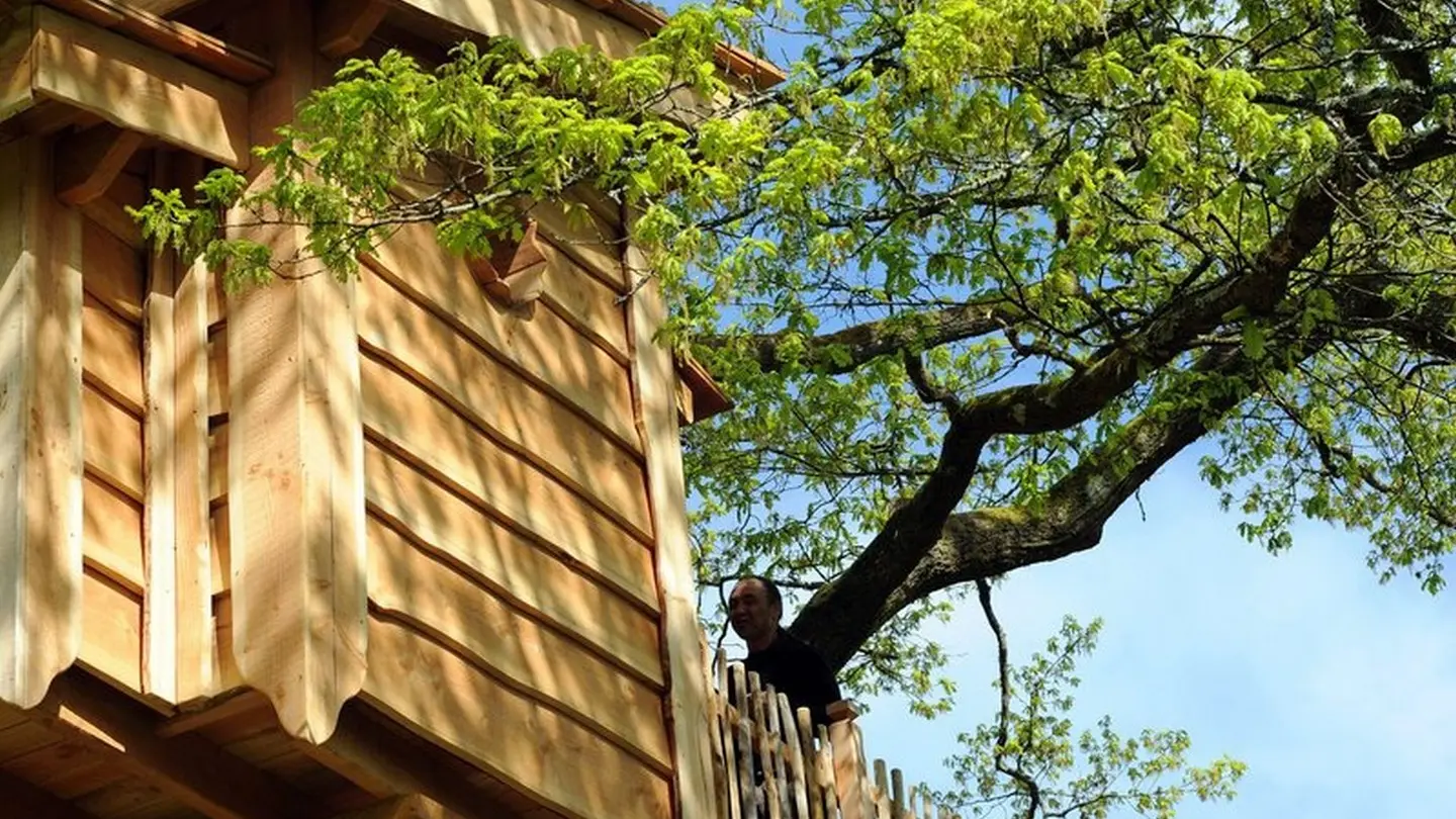 Cabane du vieux chêne