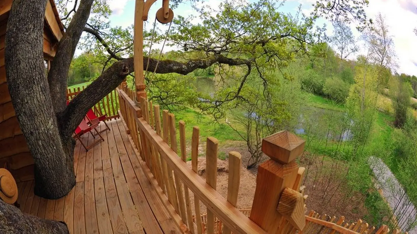 Cabane du vieux chêne