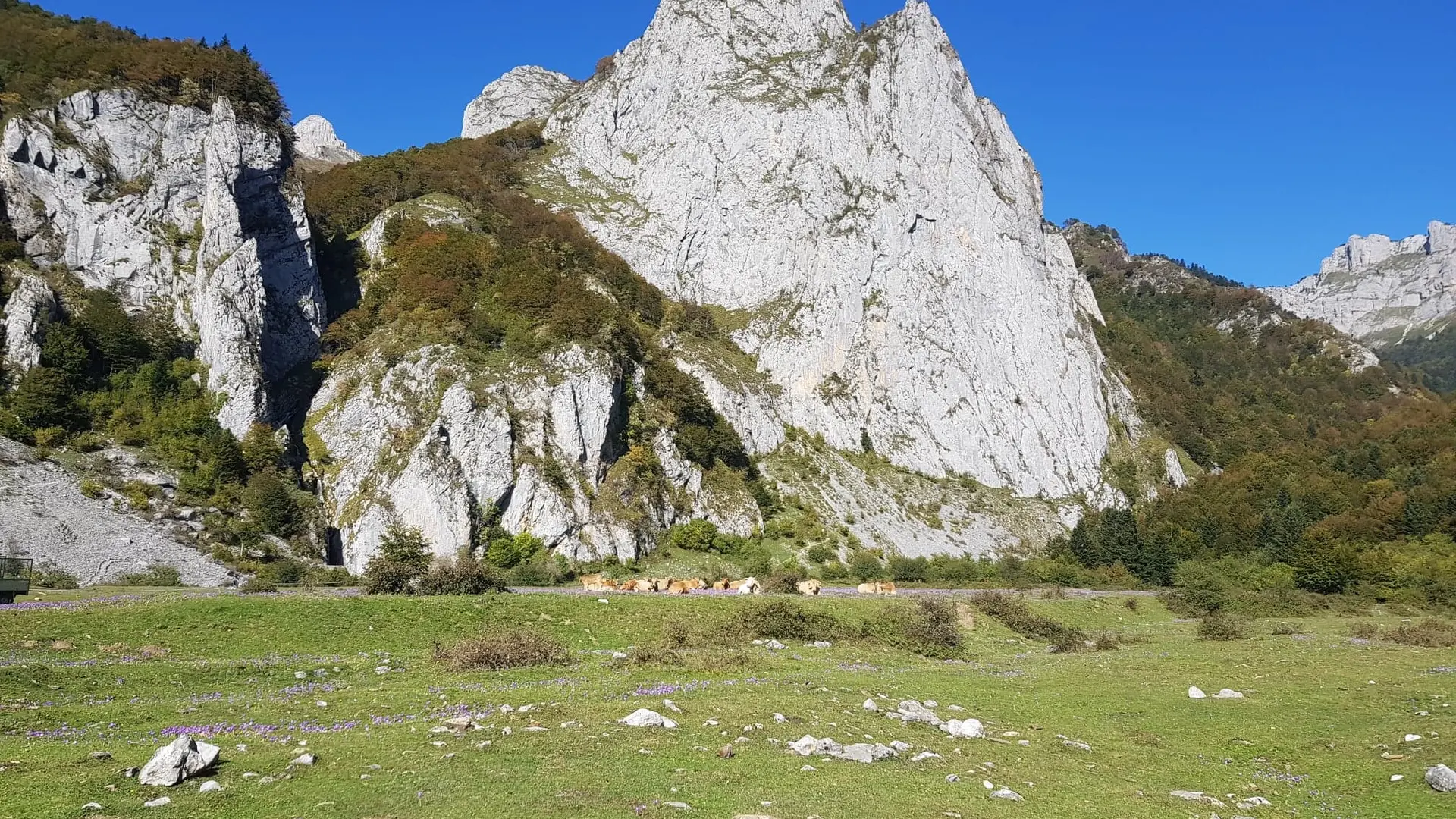 Le plateau de Sanchèse à Lescun