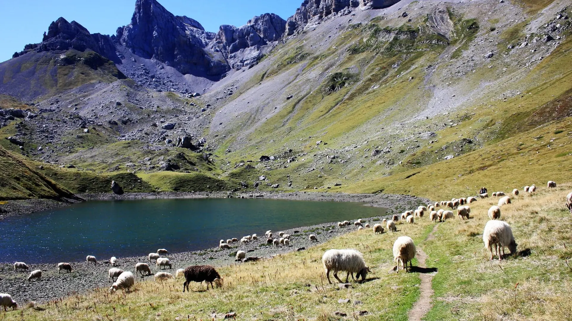 Lac en vallée d'Aspe