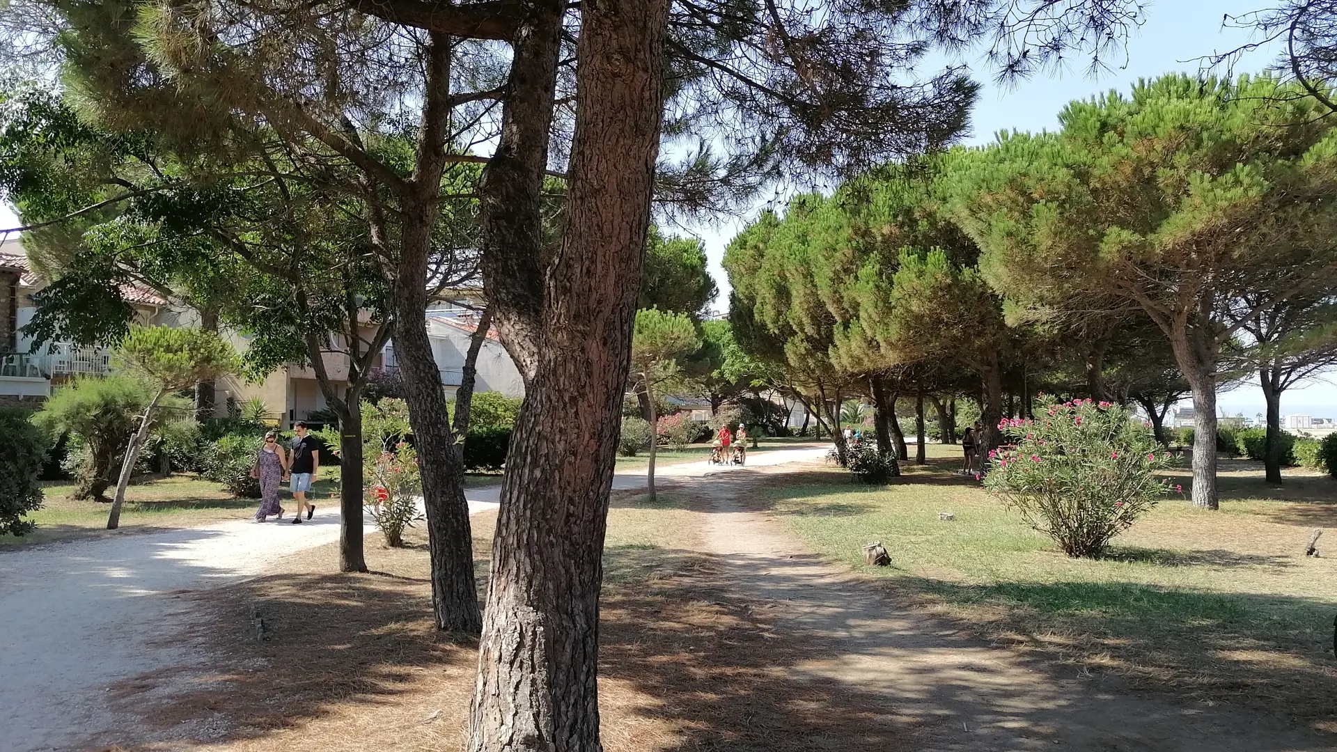 IMG_20200727_165943_resized_20201019_022024647