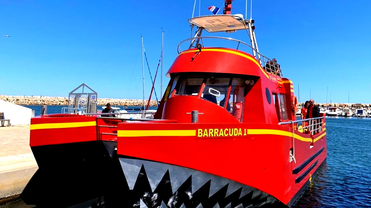 Le Barracuda