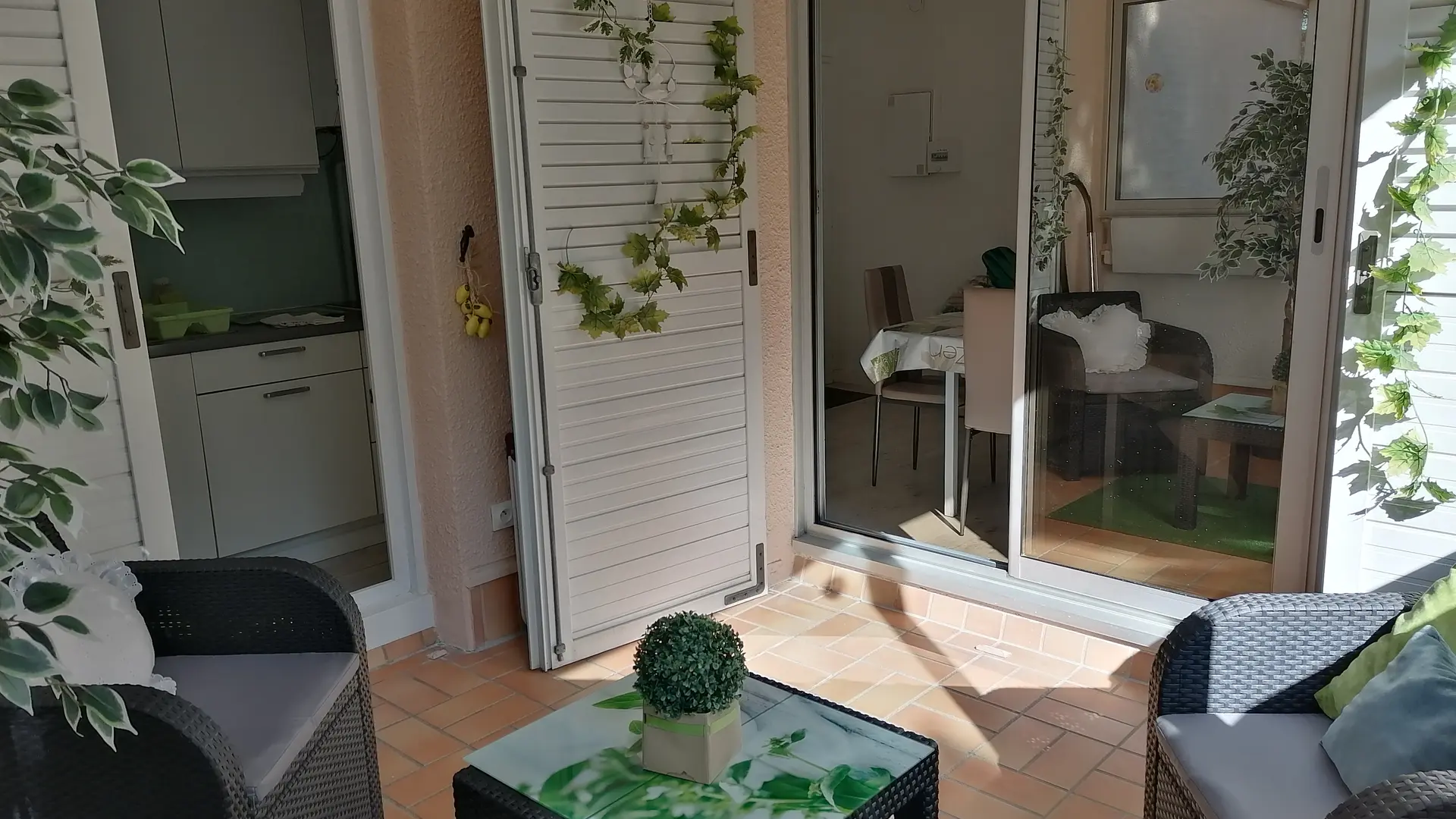 LES ECUREUILS A LA MER (7)