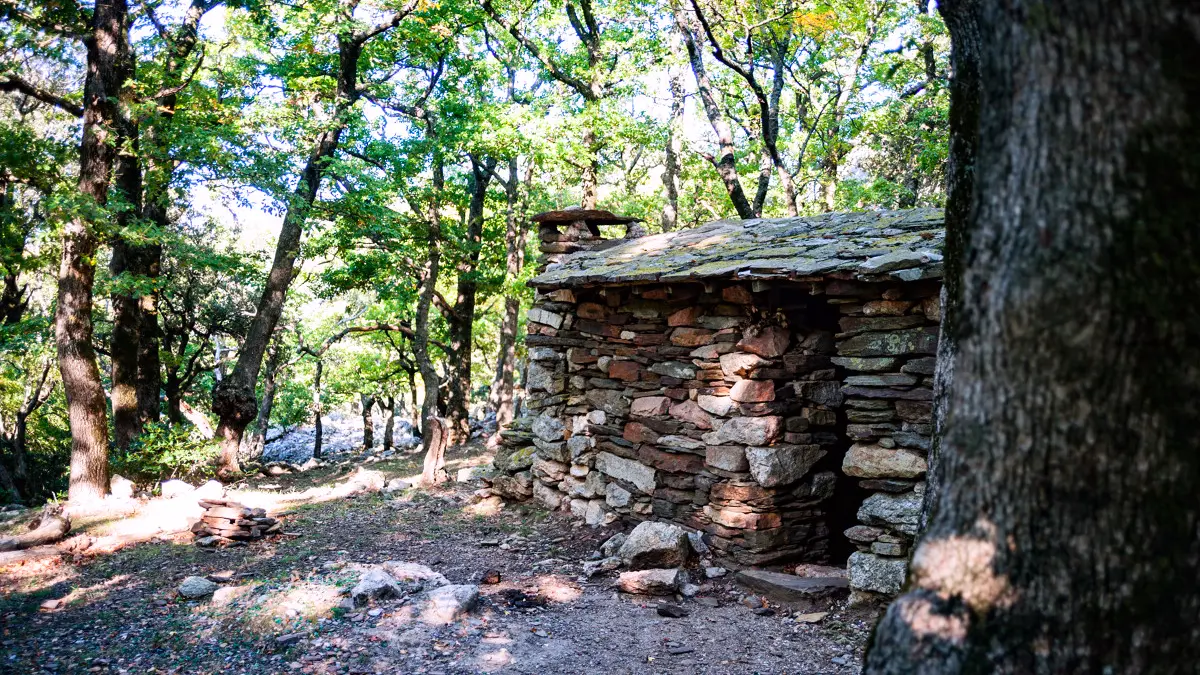 Les_Alberes-ArgelesTourisme-Benjamin_COLLARD-821-1200px