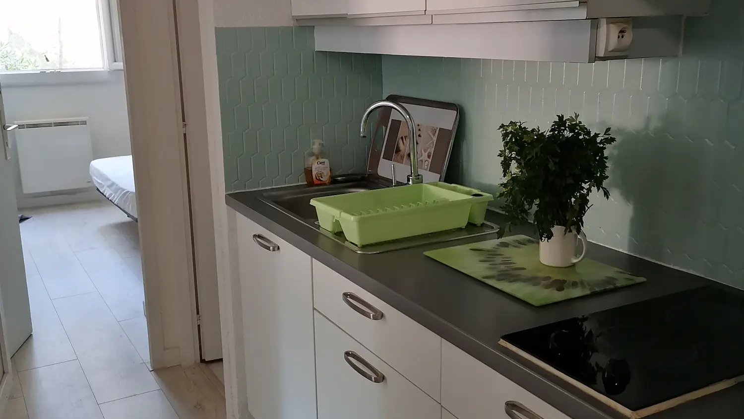 Les écureuils à la mer (12)