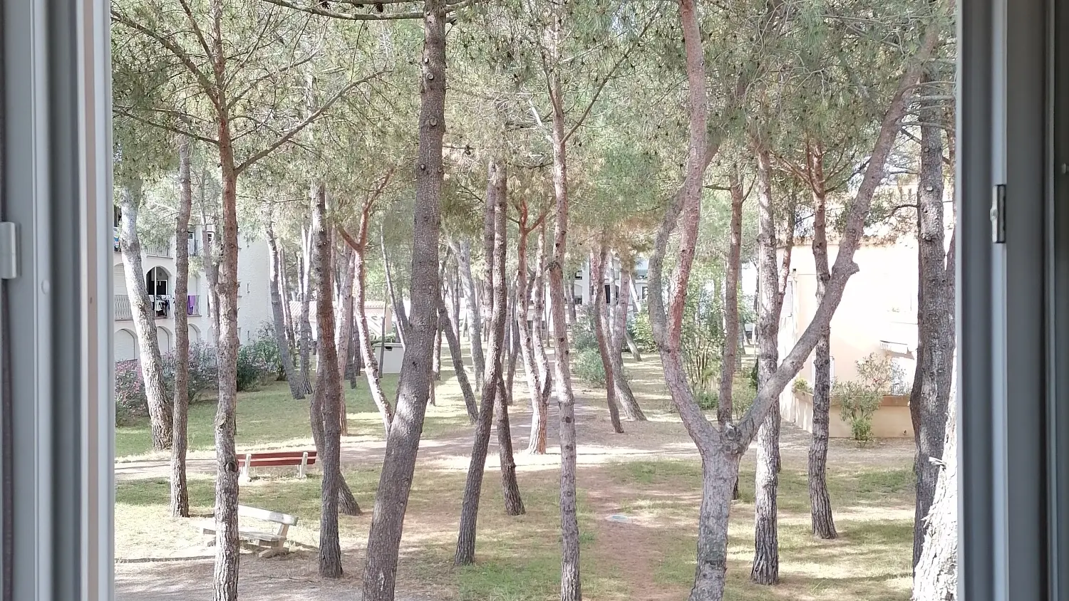 Les écureuils à la mer (6)