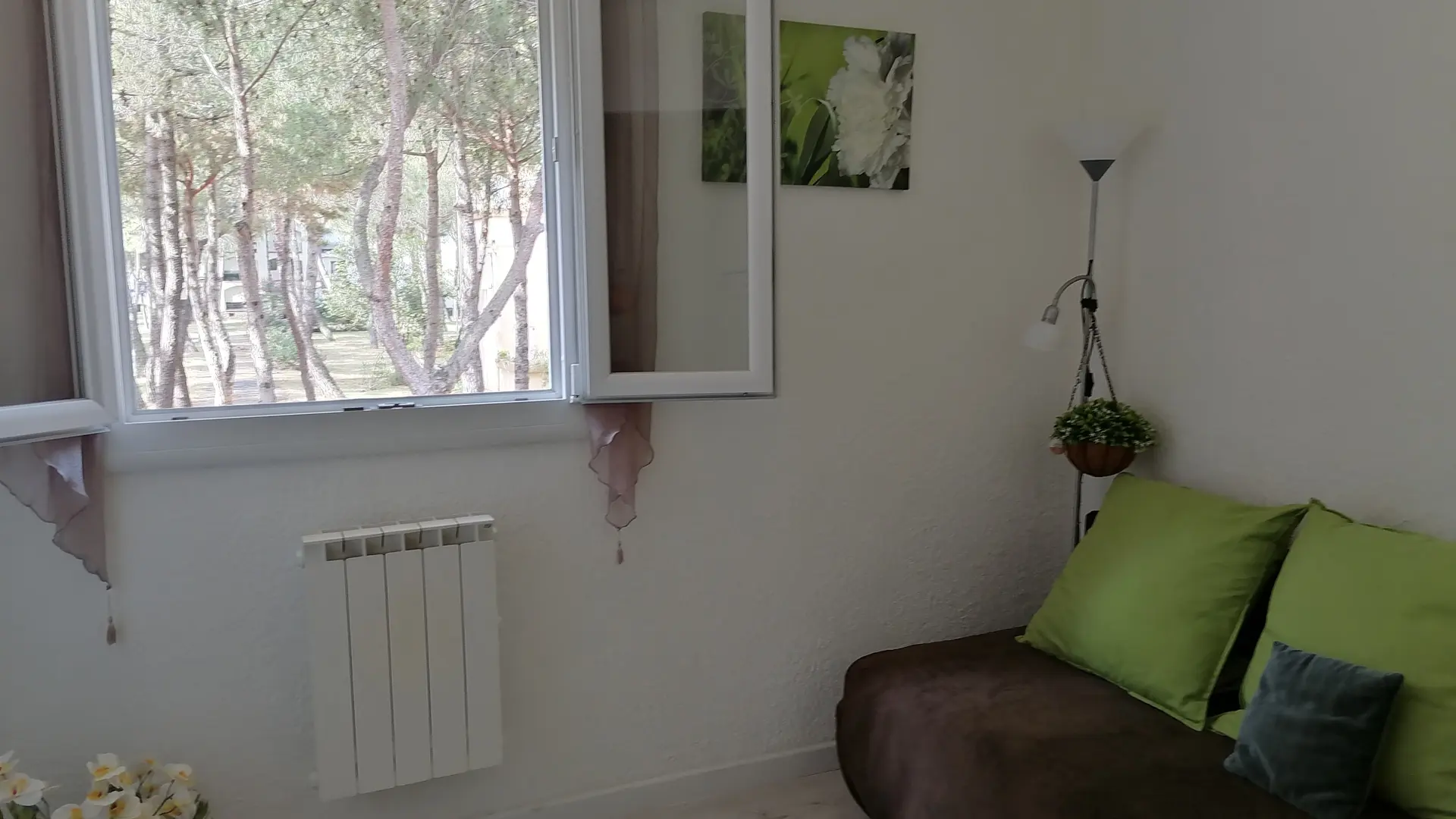 Les écureuils à la mer (7)