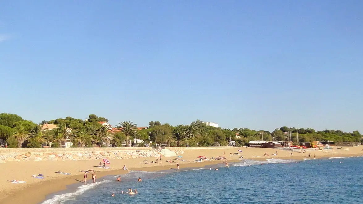 Plage d argeles sur mer