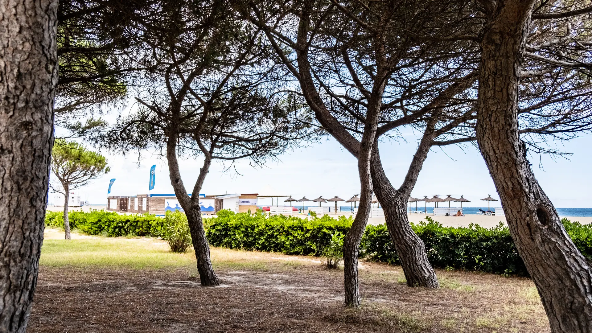 PLAGE DES PINS