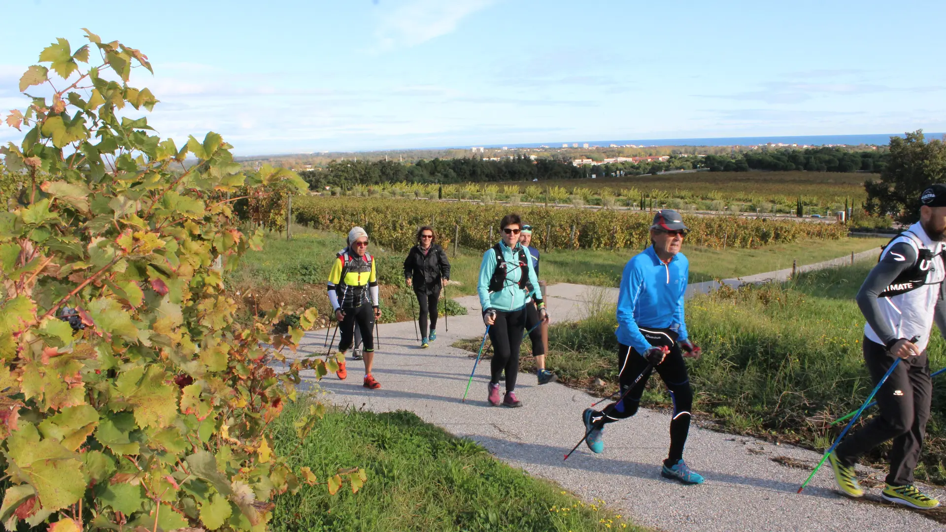 VALMY Marche nordique vigne (4)