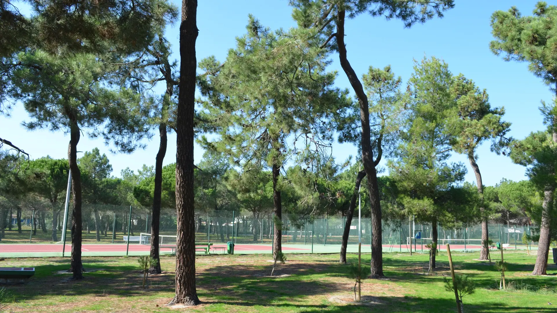 forest_pins_tennis_argeles_2015_6