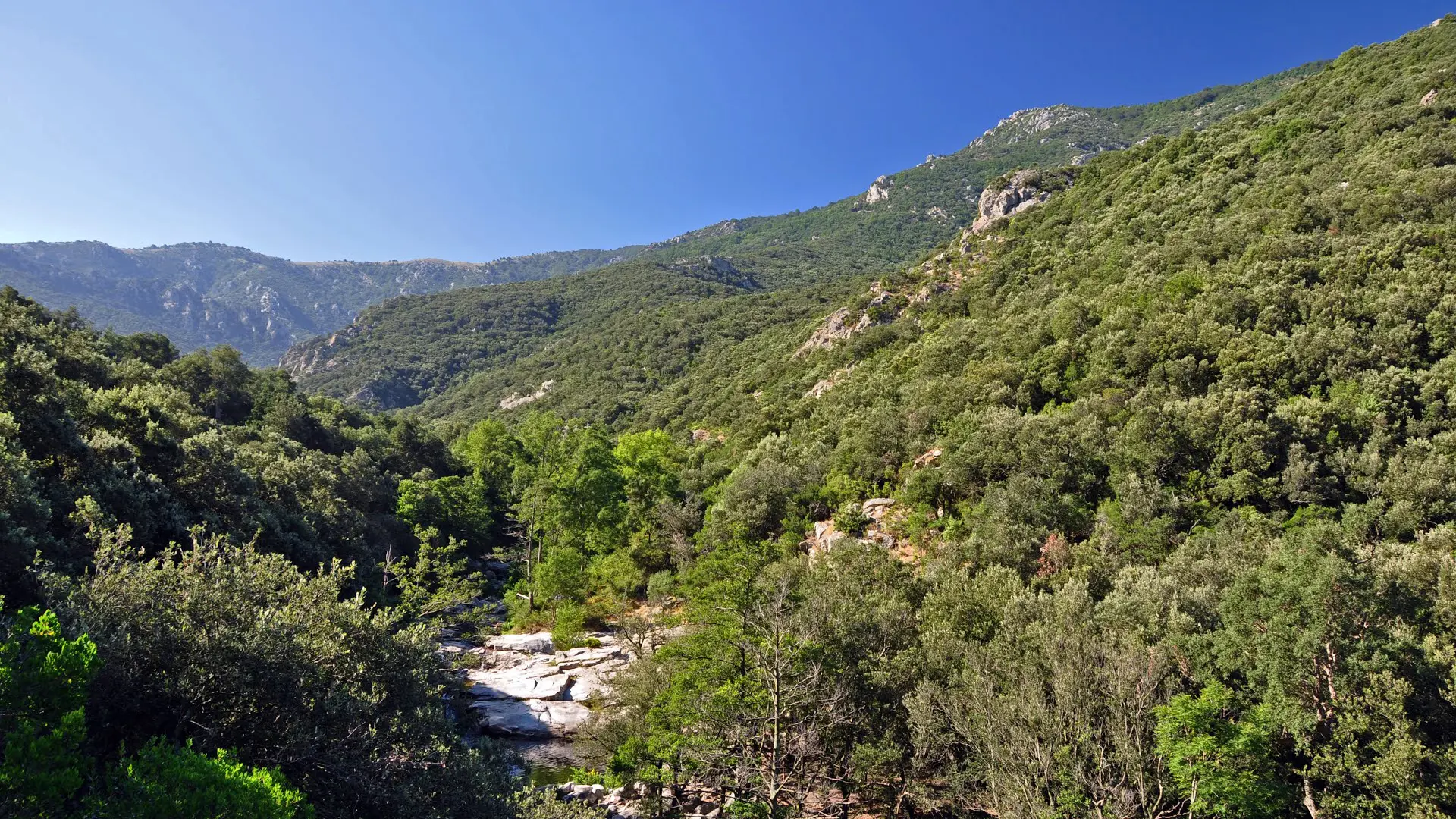 Argeles Rando orge riviere de la Massane Lavall