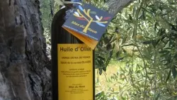 huile_olive_mas_du_roua_argeles