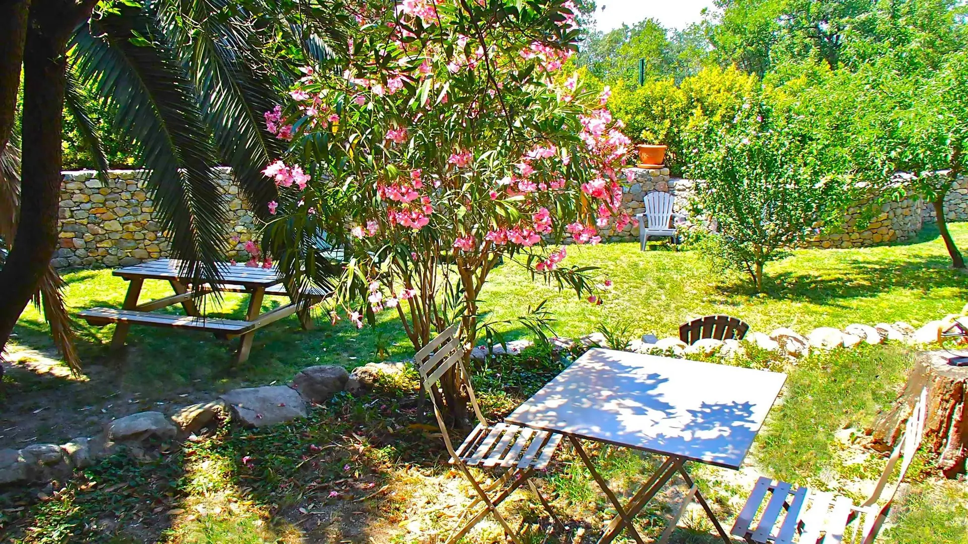 gites argeles sur mer tour pujol - jardin 2_22