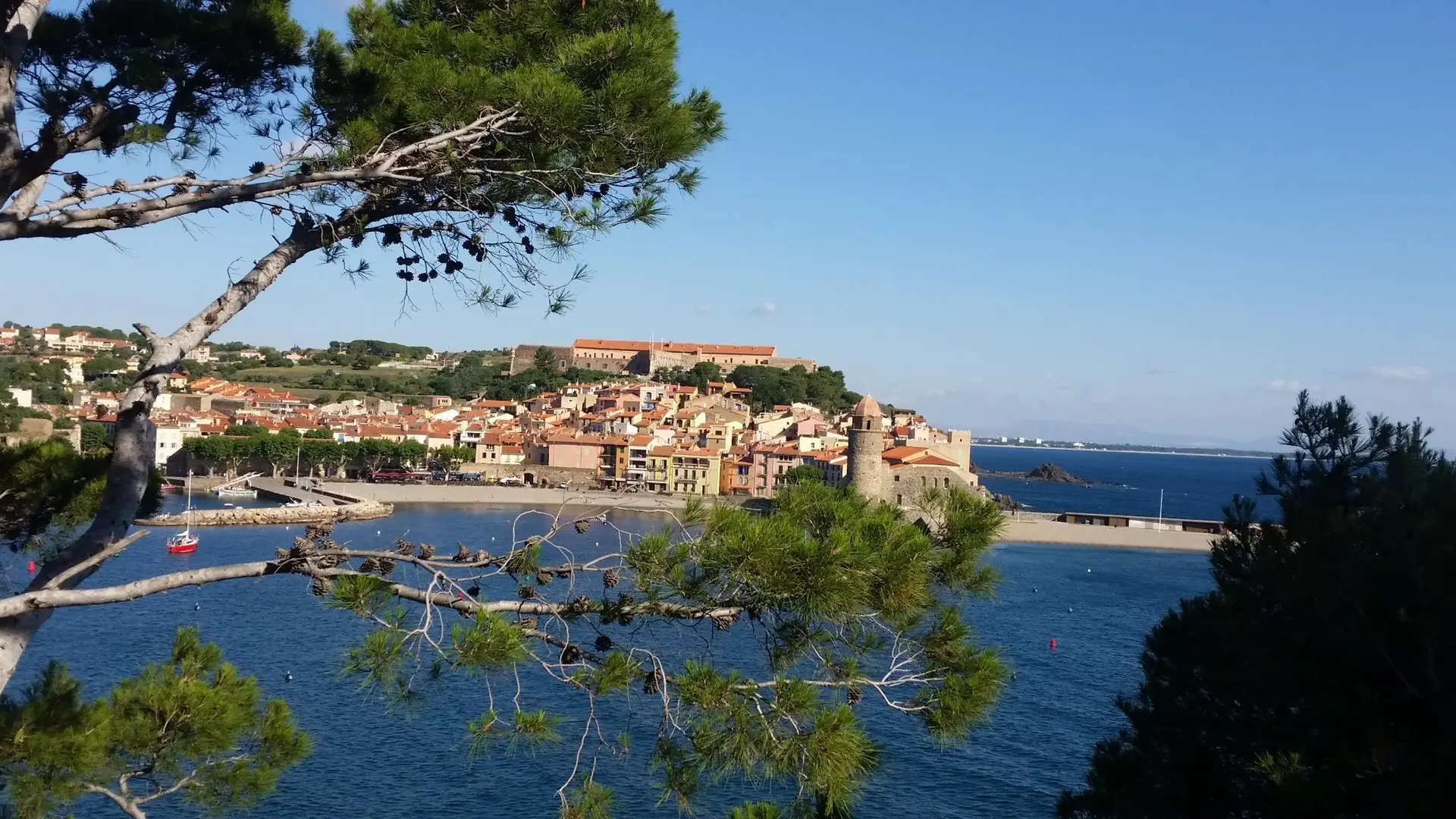 Collioure 2_32