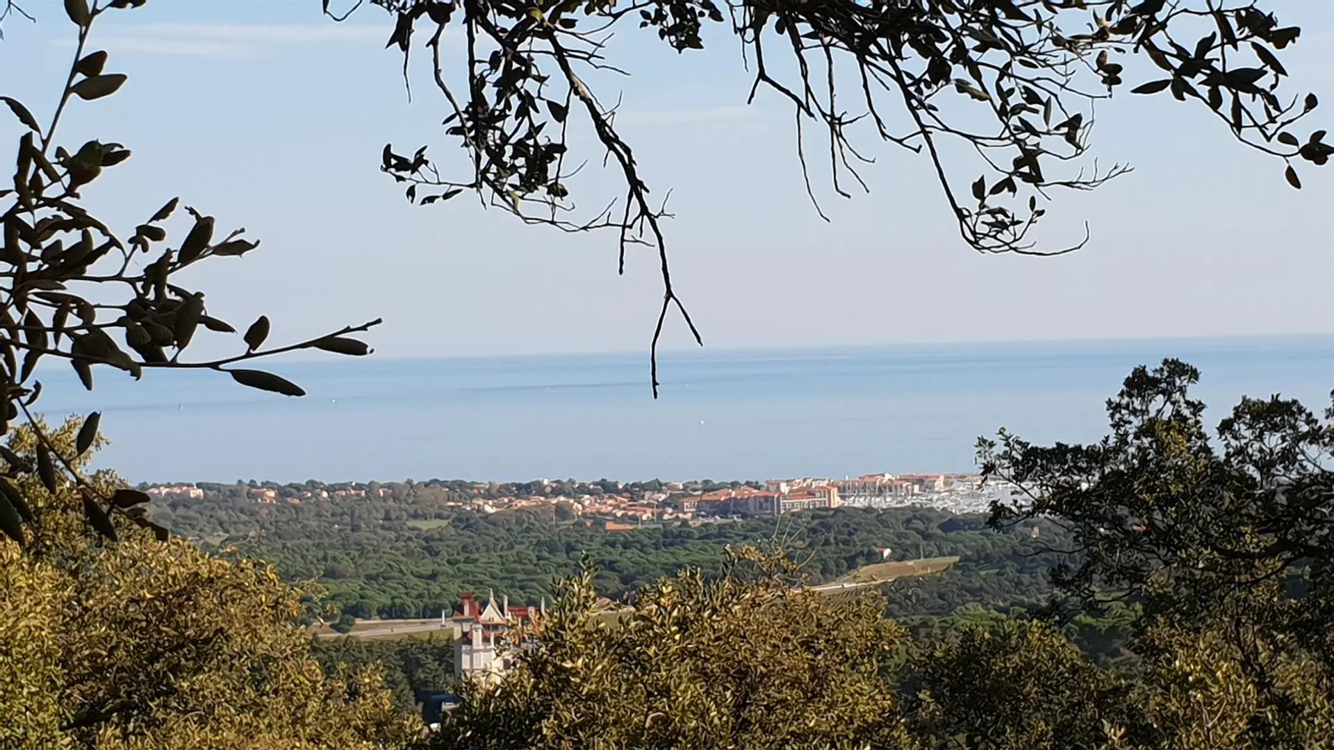 Vue Argelès du macif des Albères_30