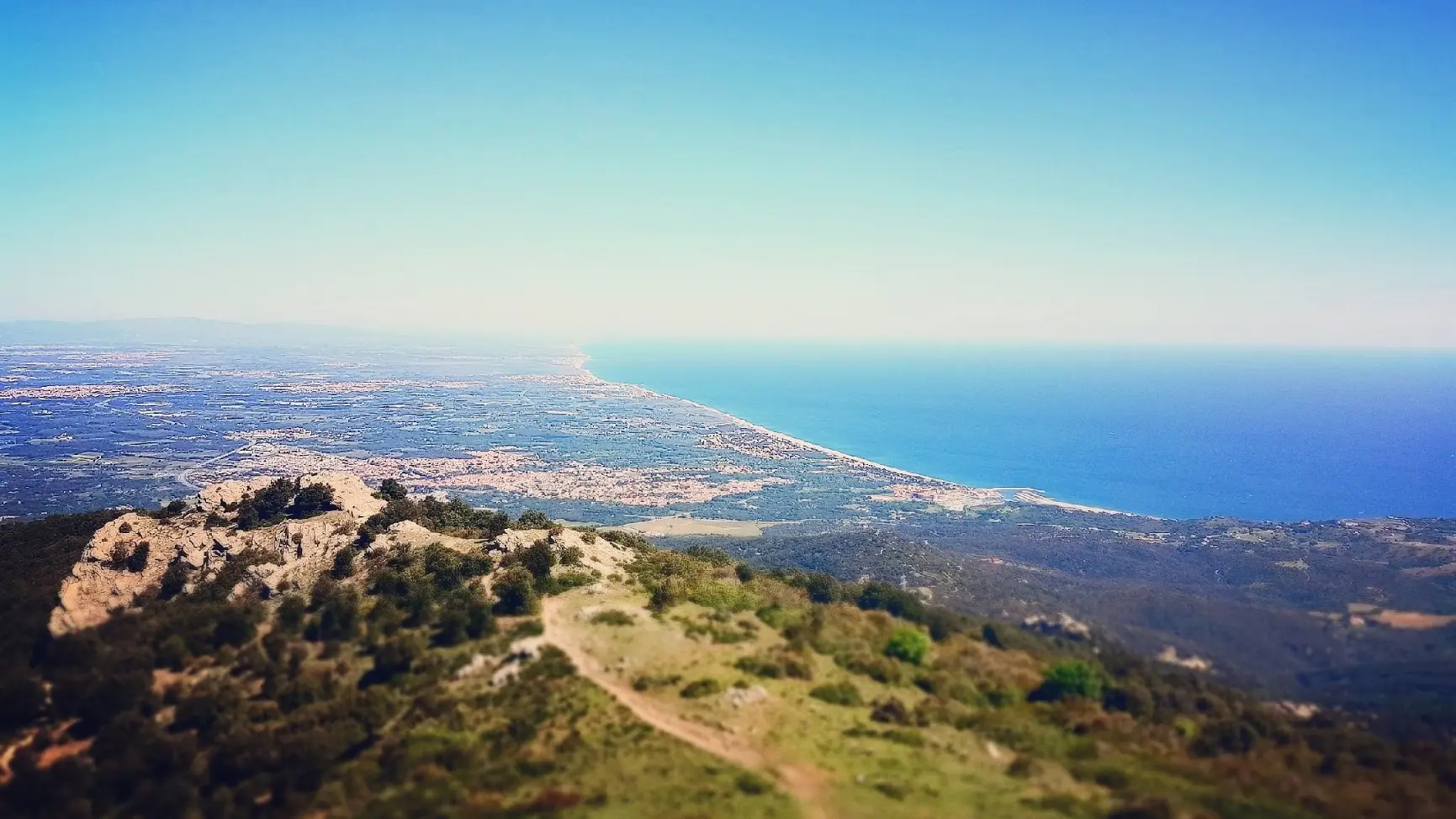 Panorama depuis la tour de la Massane_1