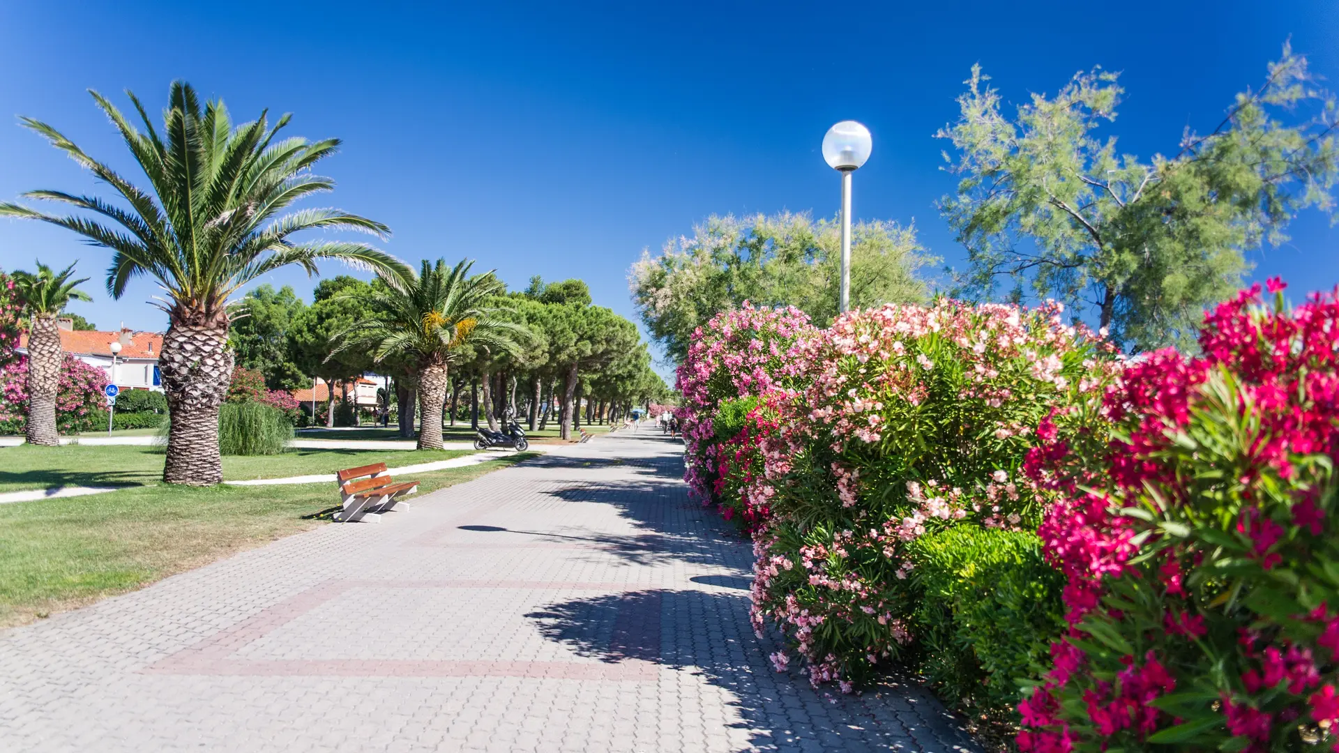 promenade-front-de-mer-l.lacombe