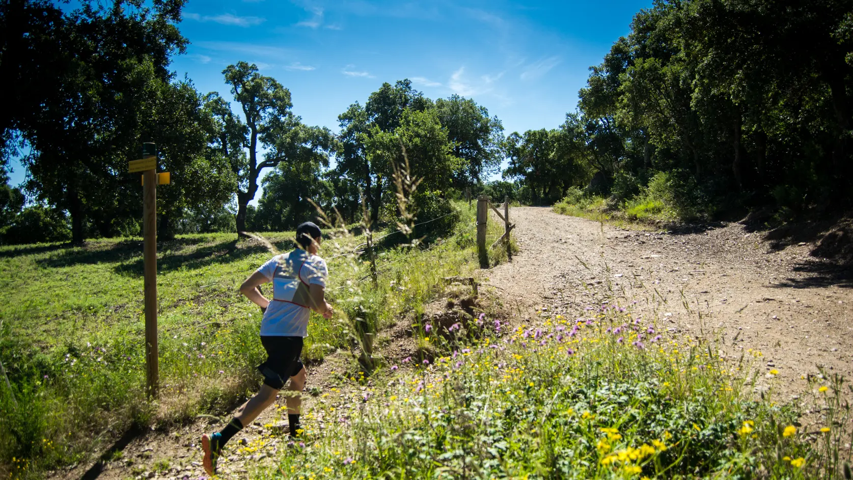 trail-valmy-argeles-S.Ferrer (9)