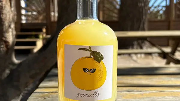 Design sans titre - 2