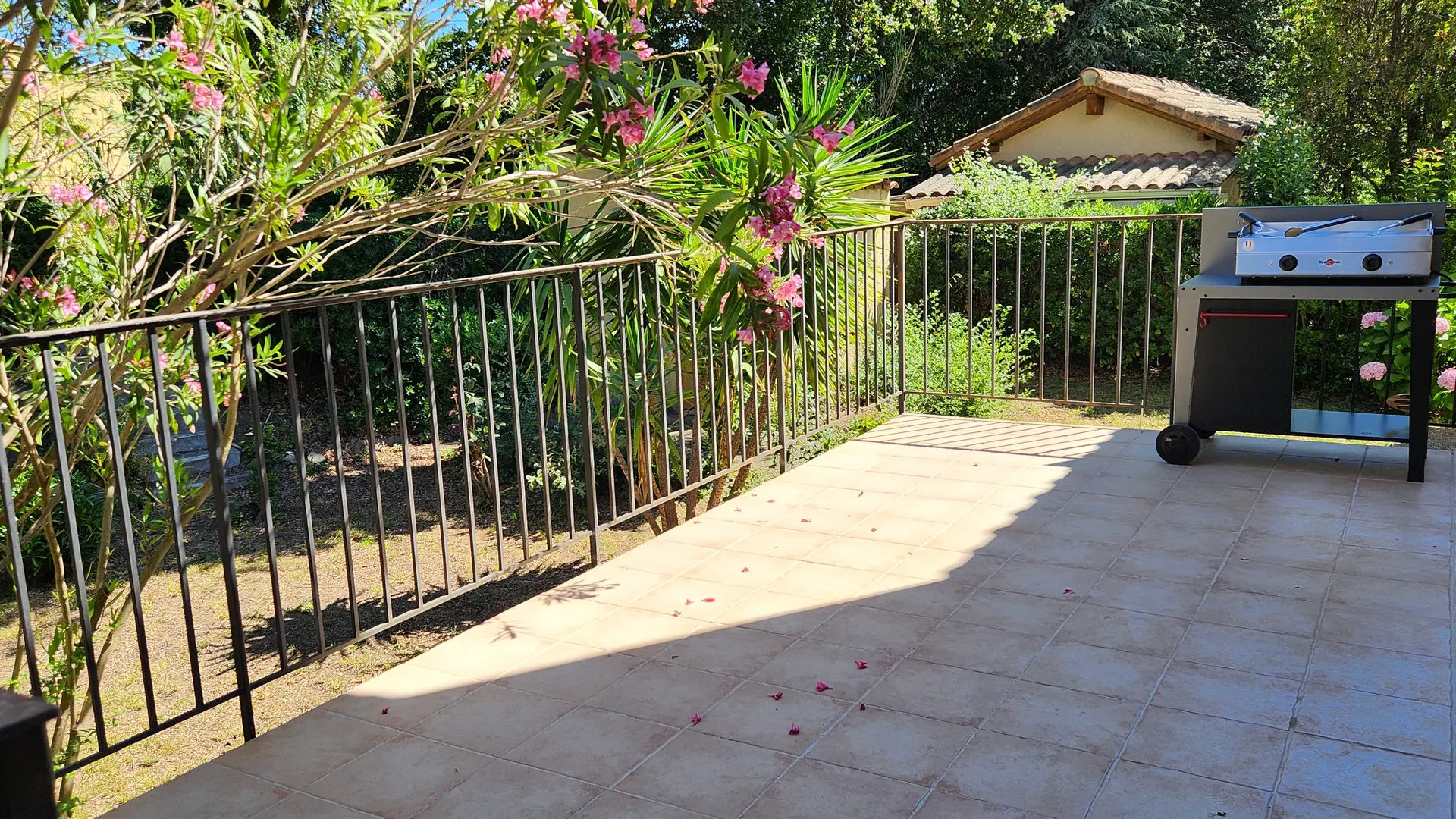 Terrasse arrière