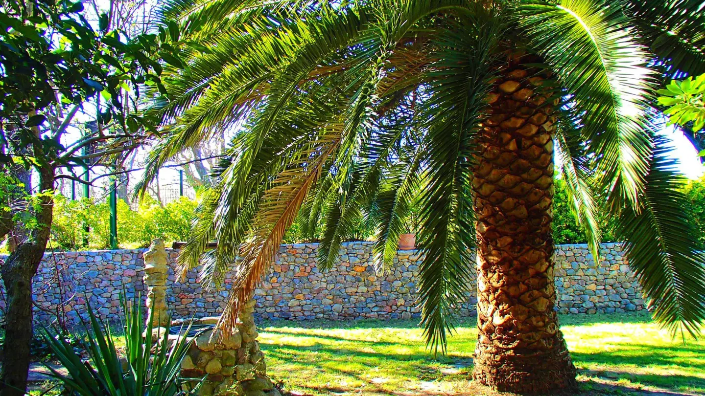 Gites de la Tour Pujol - Le marenda_19