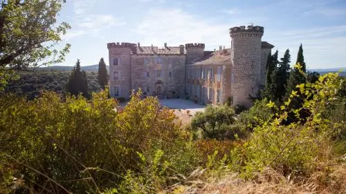 Château et Parc de St Martin - Saint Martin de Pallières